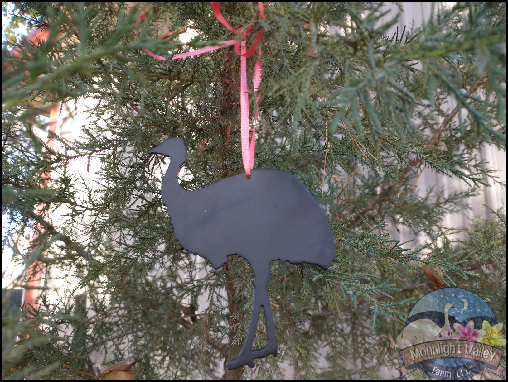 Emu Ornament